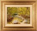 Terry Evans, Original oil painting on canvas, River Swale, Swaledale Medium image. Click to enlarge
