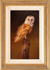 Wayne Westwood, Original oil painting on panel, Barn Owl Medium image. Click to enlarge