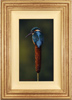 Wayne Westwood, Original oil painting on panel, Kingfisher Medium image. Click to enlarge