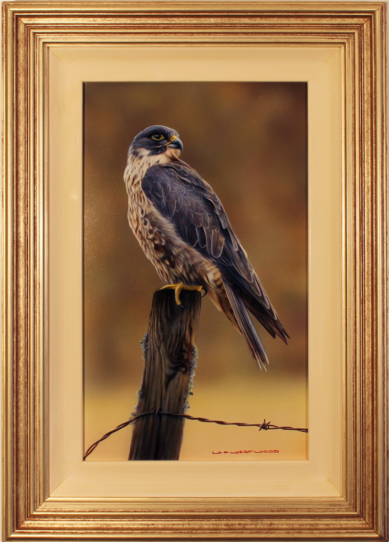 Wayne Westwood, Original oil painting on panel, Falcon