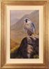 Wayne Westwood, Original oil painting on panel, Peregrine Falcon Medium image. Click to enlarge