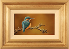 Wayne Westwood, Original oil painting on panel, Kingfisher Medium image. Click to enlarge