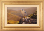 Wayne Westwood, Original oil painting on panel, Peregrine Falcon Medium image. Click to enlarge
