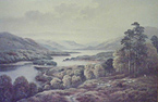 Wendy Reeves, Oil on canvas, Glen Affric Medium image. Click to enlarge
