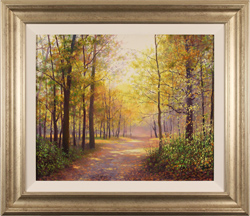 Alan Barker, Original oil painting on canvas, Dappled Light Medium image. Click to enlarge