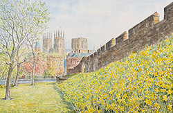 Alan Stuttle, Watercolour, York City Walls Medium image. Click to enlarge
