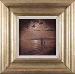 Andrew Grant Kurtis, Original oil painting on canvas, Moonlight Reflections, Lakeland Medium image. Click to enlarge