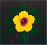 Andrew Flint Shipman, Acrylic on wood, Hibiscus Star