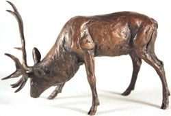 Michael Simpson, Bronze, Stag Grazing Medium image. Click to enlarge