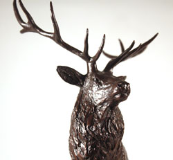 Michael Simpson, Bronze, Moorland Medium image. Click to enlarge