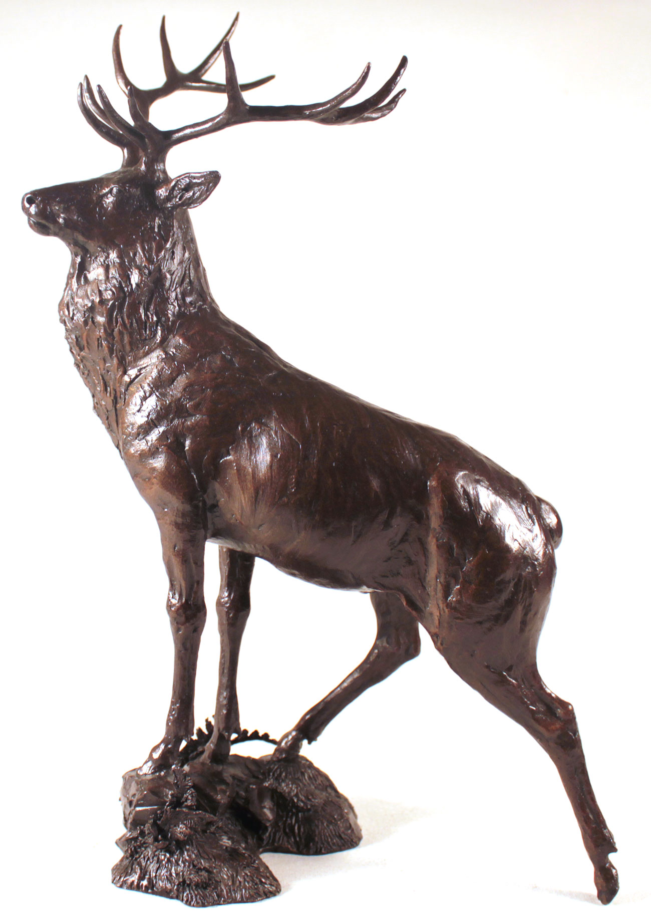 Michael Simpson, Bronze, Moorland