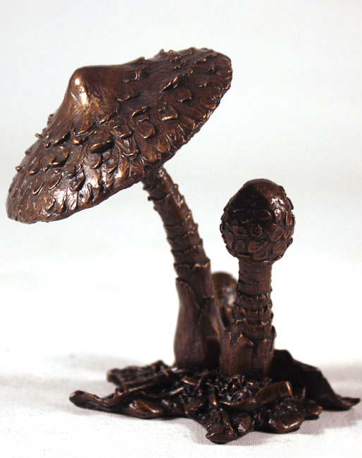 Keith Sherwin, Bronze, Parasol Mushroom