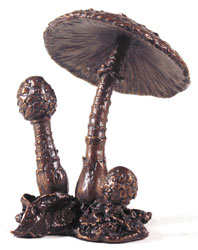 Keith Sherwin, Bronze, Parasol Mushroom Medium image. Click to enlarge