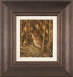 Carl Whitfield, Original oil painting on panel, Harvest Mouse Medium image. Click to enlarge