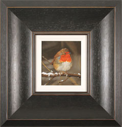 Carl Whitfield, Original oil painting on panel, Winter Robin Medium image. Click to enlarge