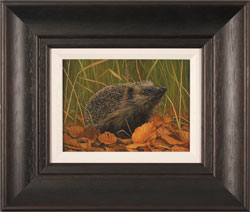 Carl Whitfield, Original oil painting on panel, Hedgehog Medium image. Click to enlarge