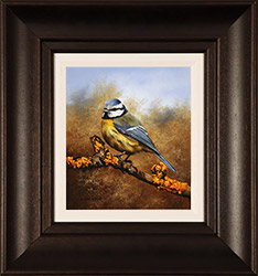 Carl Whitfield, Original oil painting on panel, Blue Tit Medium image. Click to enlarge