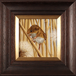 Carl Whitfield, Original oil painting on panel, Harvest Mouse Medium image. Click to enlarge