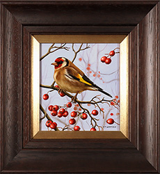 Carl Whitfield, Original oil painting on panel, Goldfinch  Medium image. Click to enlarge
