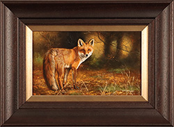 Carl Whitfield, Original oil painting on panel, Fox in Autumn Medium image. Click to enlarge