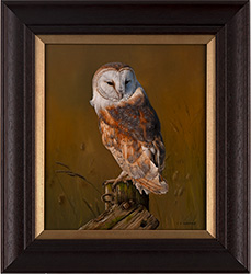 Carl Whitfield, Original oil painting on panel, Barn Owl Medium image. Click to enlarge