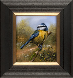 Carl Whitfield, Original oil painting on panel, Blue Tit Medium image. Click to enlarge