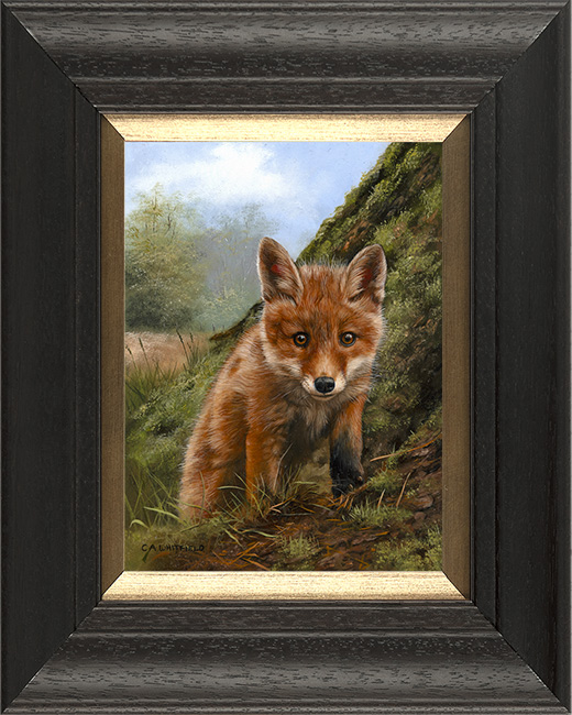 Carl Whitfield, Original oil painting on panel, Fox Cub