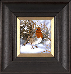 Carl Whitfield, Original oil painting on panel, Wren 