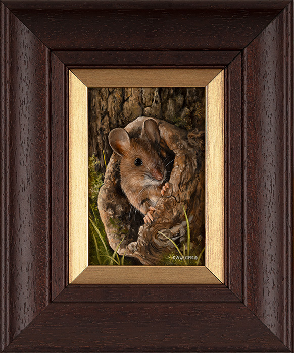 Carl Whitfield, Original oil painting on panel, Peeking Out