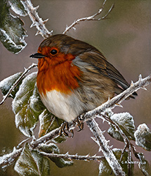 Carl Whitfield, Original oil painting on panel, Winter Visitor