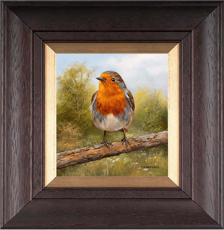 Carl Whitfield, Original oil painting on panel, Robin