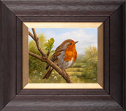 Carl Whitfield, Original oil painting on panel, Spring Robin