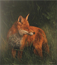 Carl Whitfield, Original oil painting on panel, Twilight Fox Medium image. Click to enlarge
