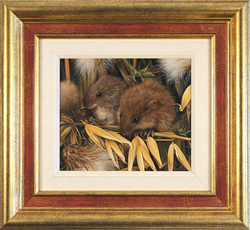 Carl Whitfield, Original oil painting on panel, Harvest Mice Medium image. Click to enlarge