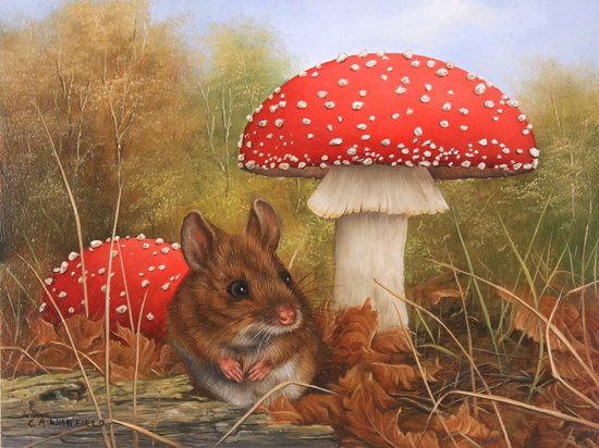Carl Whitfield, Original oil painting on panel, Mouse and Toadstool