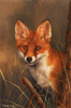 Carl Whitfield, Original oil painting on panel, Fox Medium image. Click to enlarge