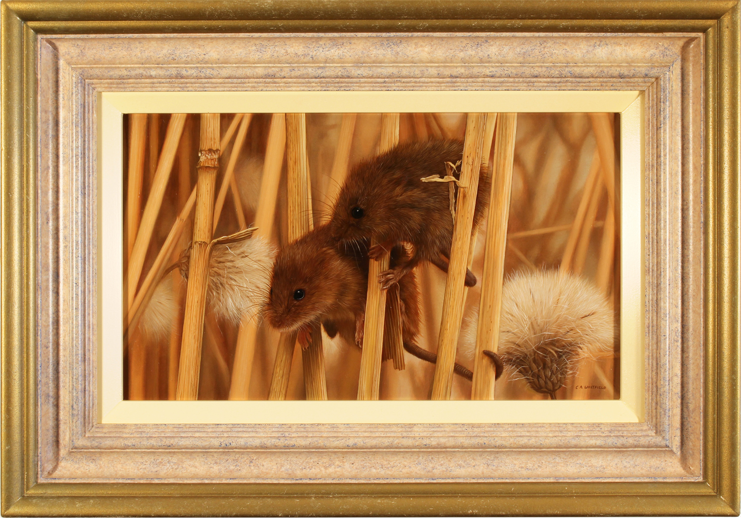 Carl Whitfield, Original oil painting on panel, Two Field Mice