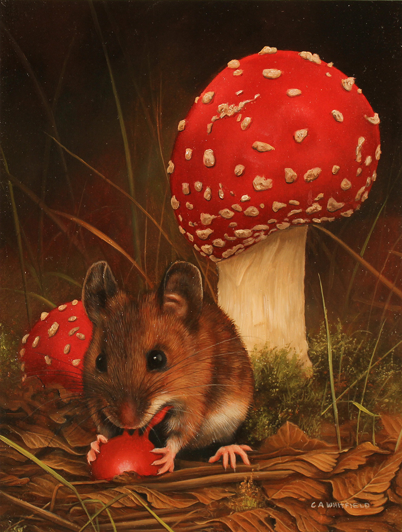 Carl Whitfield, Original oil painting on panel, Mushroom Mouse