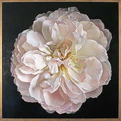Caroline Richardson, Original oil painting on canvas, Gentle Hermione I Medium image. Click to enlarge
