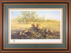 David Shepherd, Signed Limited Edition Print, Winter in Wolong