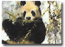 David Shepherd, Signed Limited Edition Print, Winter in Wolong Medium image. Click to enlarge