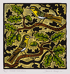 Gerard Hobson, Original linocut print, Wood Warblers Medium image. Click to enlarge