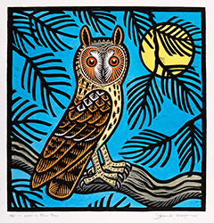 Gerard Hobson, Original linocut print, Owl in Pine Tree Medium image. Click to enlarge