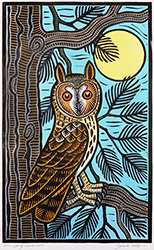 Gerard Hobson, Original linocut print, Long Eared Owl