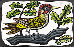 Gerard Hobson, Original linocut print, Poppinjay