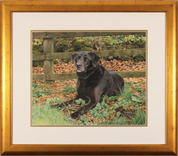 Jacqueline Gaylard, SOFA, Original acrylic painting on board, Autumn Days Medium image. Click to enlarge
