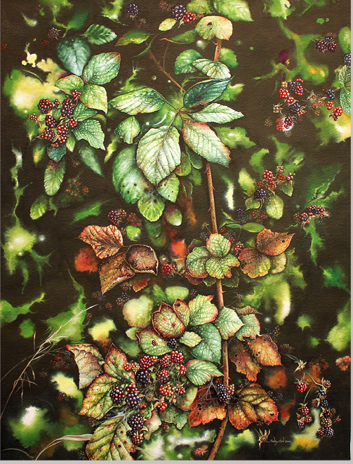 Jerry Walton, Watercolour, Bramble Tangle