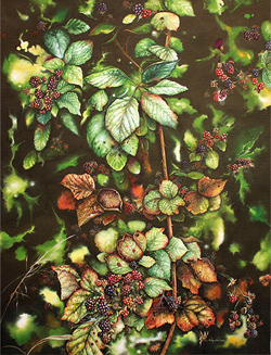 Jerry Walton, Watercolour, Bramble Tangle