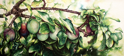 Jerry Walton, Watercolour, Plum Line No frame image. Click to enlarge