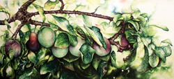 Jerry Walton, Watercolour, Plum Line Medium image. Click to enlarge